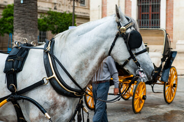 Naklejka na ściany i meble It's Horse carriage in the Old Town of Seville. Historic centre is the UNESCO world heritage.