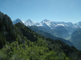 Obraz premium The Bernese Alps seen from Schynige Platte