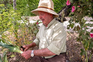 Old man cutting vegetables