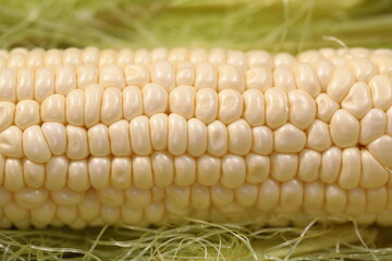 Close up  White Hokkaido Corns 