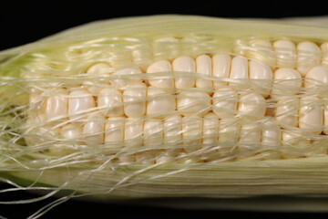 Close up White Hokkaido Corns with corn silk