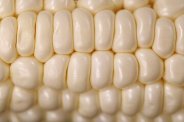 Big Closeup Corn silk of White Hokkaido Corn 