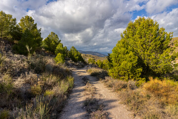 mountainous area in the area of ​​Cejor (Berja)

