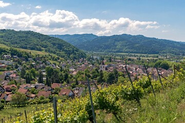 Blick auf die Stadt Staufen im Breisgau und ihre Weinberge
