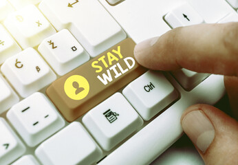 Conceptual hand writing showing Stay Wild. Concept meaning end up being extremely energetic...
