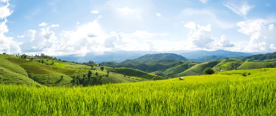 Poster Panorama Green rice field with mountain background at Pa Pong Piang Terraces Chiang Mai, Thailand © serra715