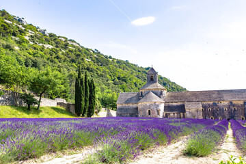 The lavender fields in front of Abbaye de Senanque, in Provence, France.