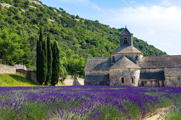 The lavender fields in front of Abbaye de Senanque, in Provence, France.