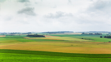 Obraz premium Rural landscape with green field in a cloudy day