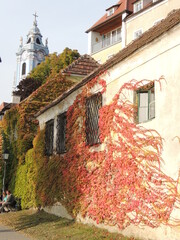 Jesienna fasada