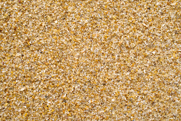 Rough Sea beach sand surface texture, Seamless background