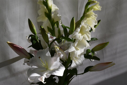 Bouquet de lys Zamb&eacute;si et gla&iuml;euls White Prosperity