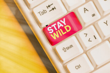 Conceptual hand writing showing Stay Wild. Concept meaning end up being extremely energetic...