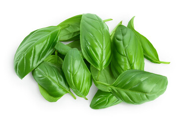 Fresh basil leaf isolated on white background with clipping path and full depth of field. Top view. Flat lay