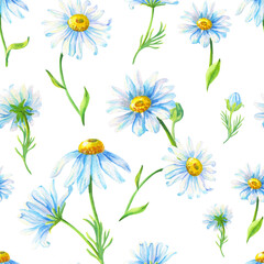 Watercolor chamomile on a white background. Abstract seamless pattern with daisies flowers