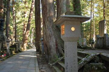 高野山の紅葉