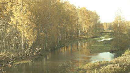 Reflection of trees in the water