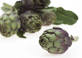 Fototapeta premium ARTICHAUT