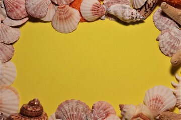 Frame seashells on yellow background