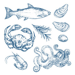 Hand drawn sketch illustration with seafood. Octopus, salmon, shrimp, crab and oysters
