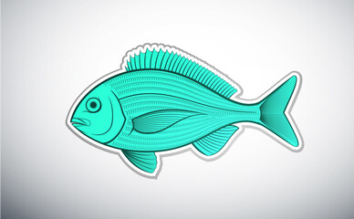 bream fish outline color vector illustration