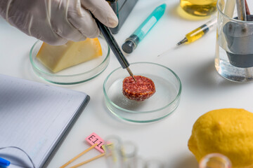 Food safety expert inspecting sausage in laboratory.