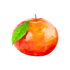 juicy grapefruit with a leaf polygonal, vector illustration