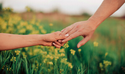 Couple hold hands in green field on sunset. Love concept. Hands concept. 
