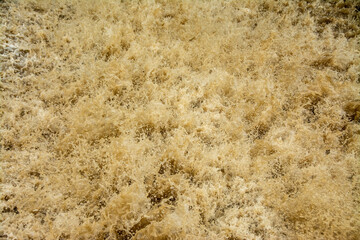 muddy water in a river