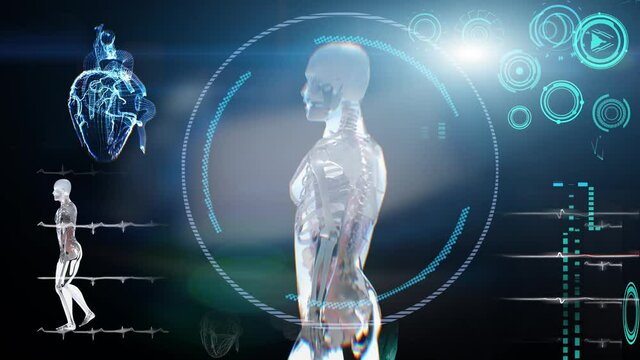 medical Interface, analysis of Human Male Anatomy Scan on Futuristic Touch Screen Interface showing bones, organs. Concept: In the Near Future of Medicine and Healthcare 3D render