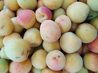 Close up of fresh apricots on sale in a fruit market
