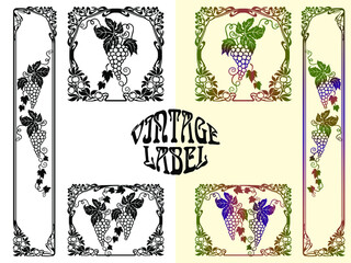 Vintage frames, elements for label design, bunch of grapes, vine with leaves, berries. Vector image.