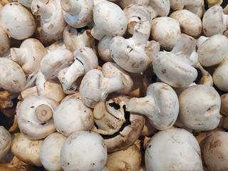 Photo of white champignons for sale.