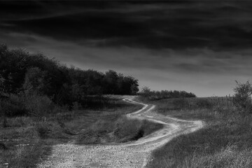  Dramatic landscape with pathway near the forest with dark sky