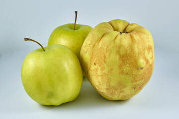 Two green apples and a quince on white background