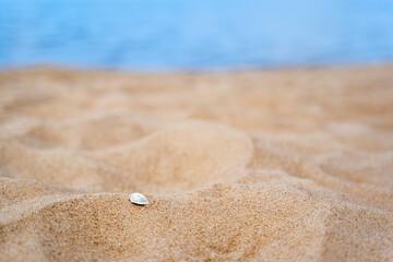 Close up of sand shore with blurred sea background.