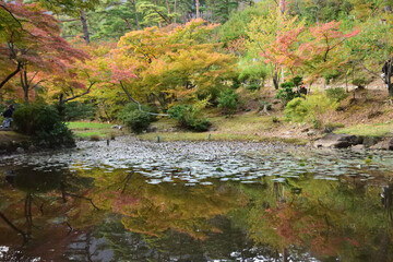 紅葉