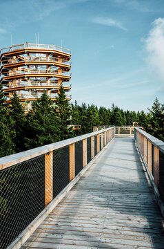 Wooden bridge and observation deck for walking through treetops. Pohorje Treetop Walk, Rogla. Slovenia, Europe.