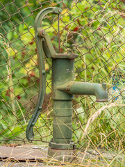 Allotments in Poland