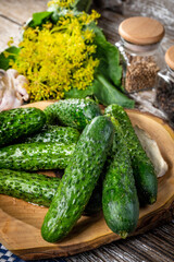 Preparation for pickling cucumbers.