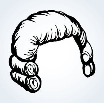 Vintage french wig. Vector drawing