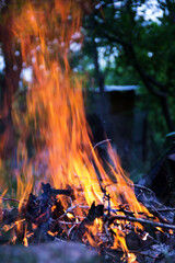 Forest fires and bonfires in the fresh air