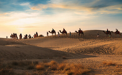 Camel caravan at the Thar desert Jaisalmer Rajasthan India at sunset © Roop Dey