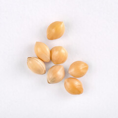 flat lay with seven grains of millet on a white background