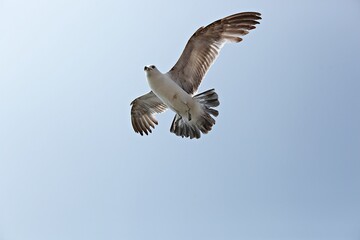 한국 인천시 월미도 입니다