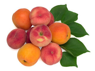 Fresh apricot fruits, fig peaches and leaves isolated on a white background
