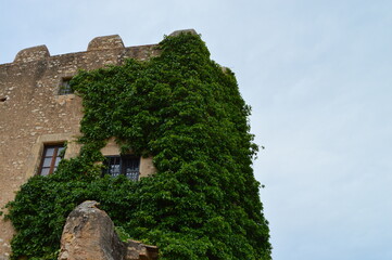 Fototapeta na wymiar Ventana castillo con vegetación