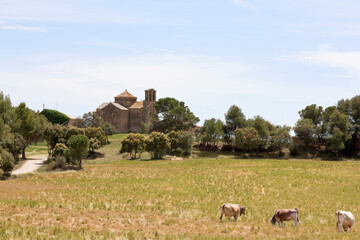 Sant Cugat del Raco is a Romanesque church of the XI century in the Navas municipality, Catalonia...