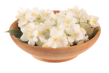 heap of white jasmine flowers in wooden plate isolated on white