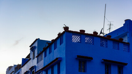 Fototapeta na wymiar It's Architecture of Chefchaouen, small town in northwest Morocco famous by its blue buildings